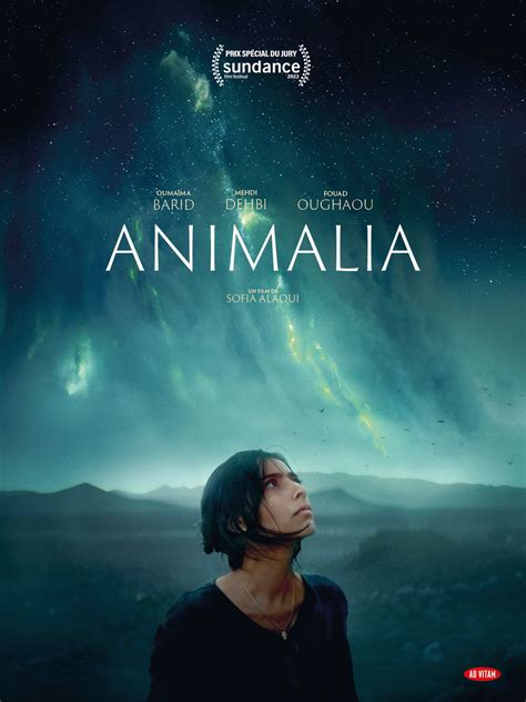 anumalya|animalia boutique.